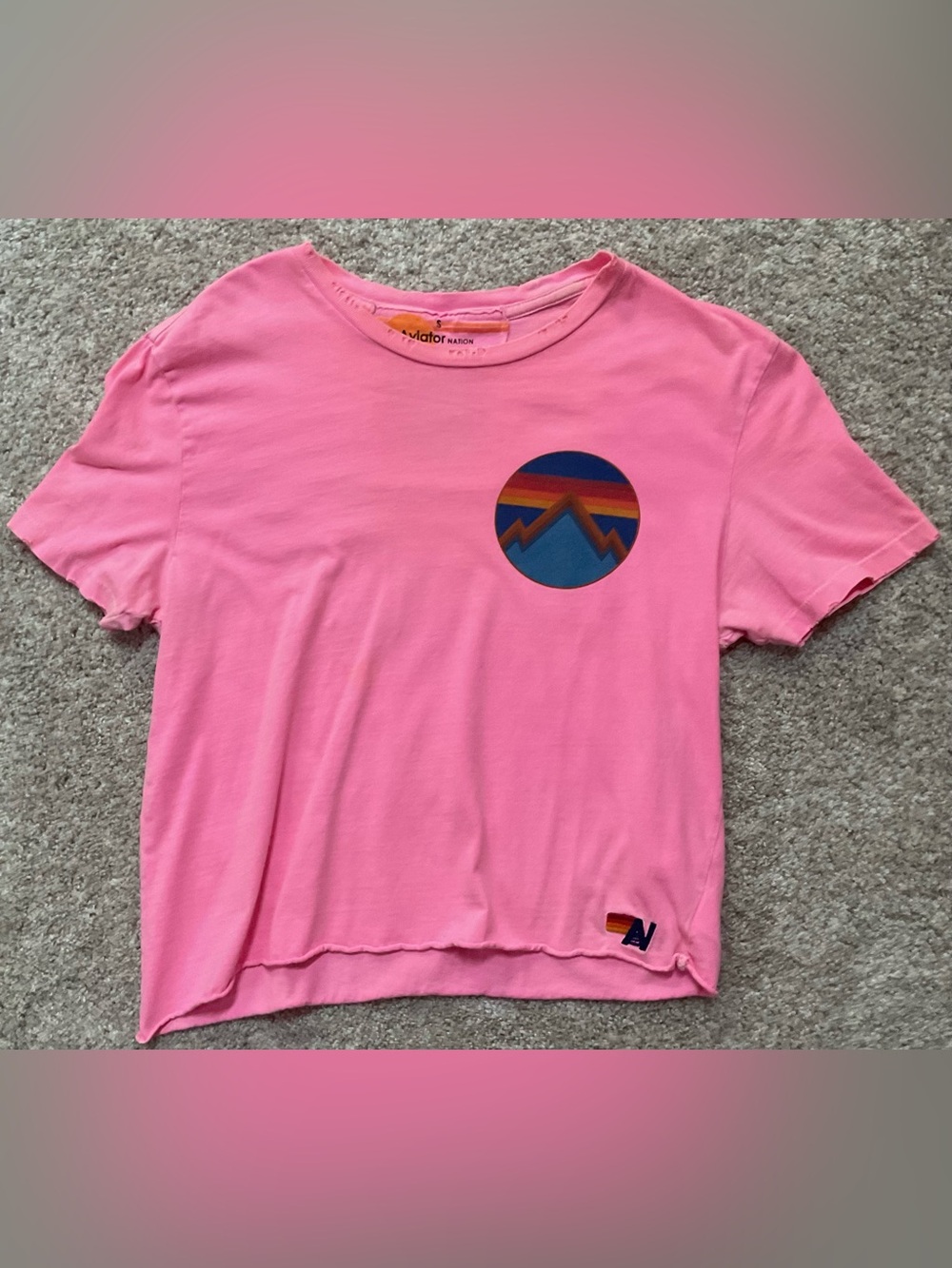 Aviator Nation Pink Graphic Crop Tee with Mountain Circle